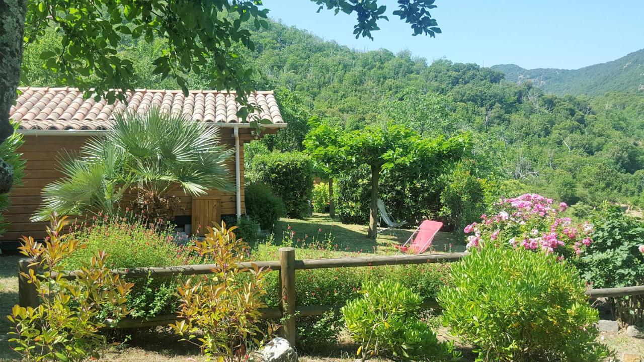 Les Chalets Et Gite Du Haut Taravo Zicavo Kültér fotó