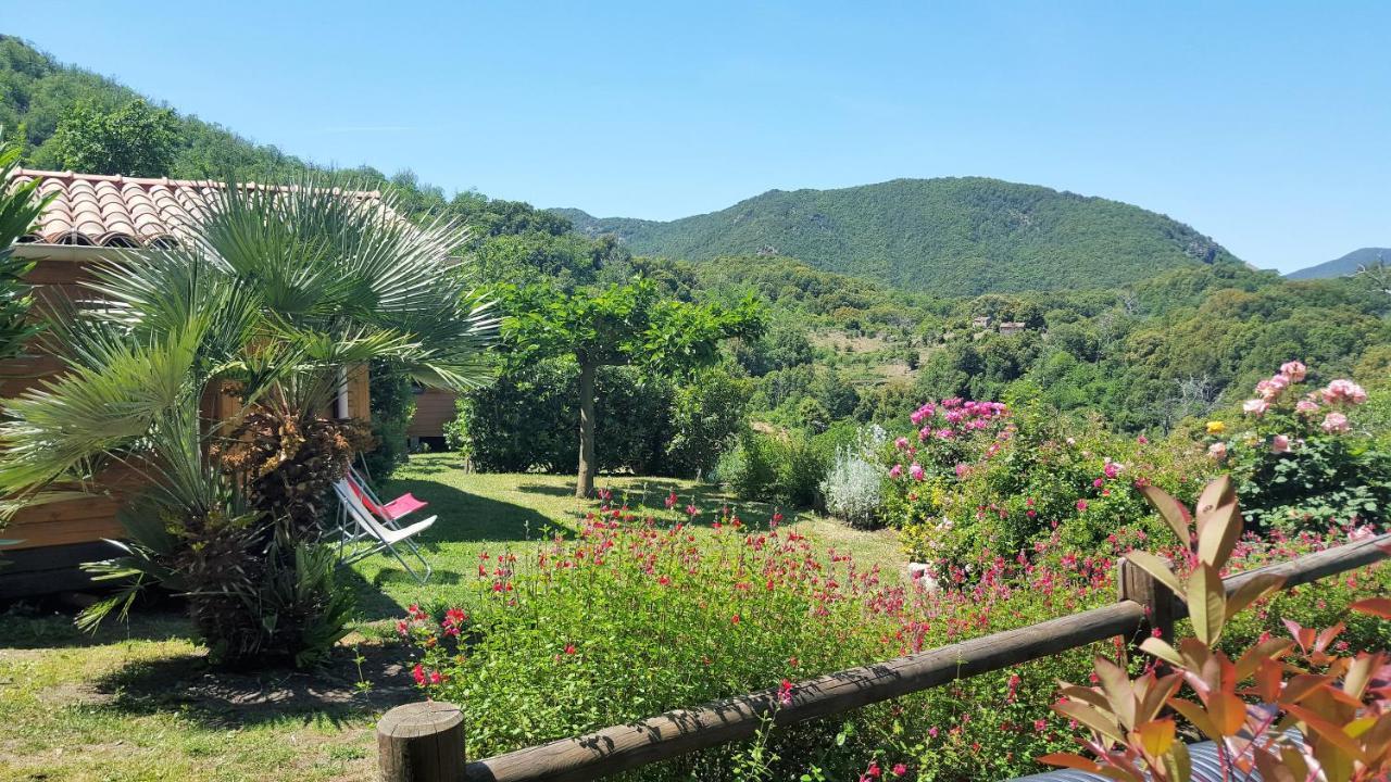 Les Chalets Et Gite Du Haut Taravo Zicavo Kültér fotó