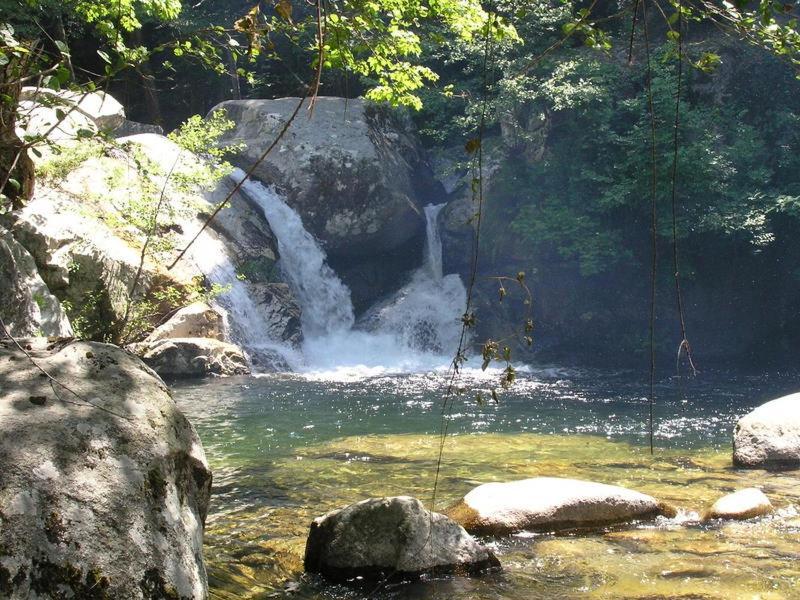 Les Chalets Et Gite Du Haut Taravo Zicavo Kültér fotó