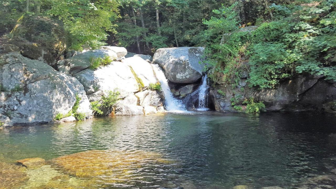Les Chalets Et Gite Du Haut Taravo Zicavo Kültér fotó