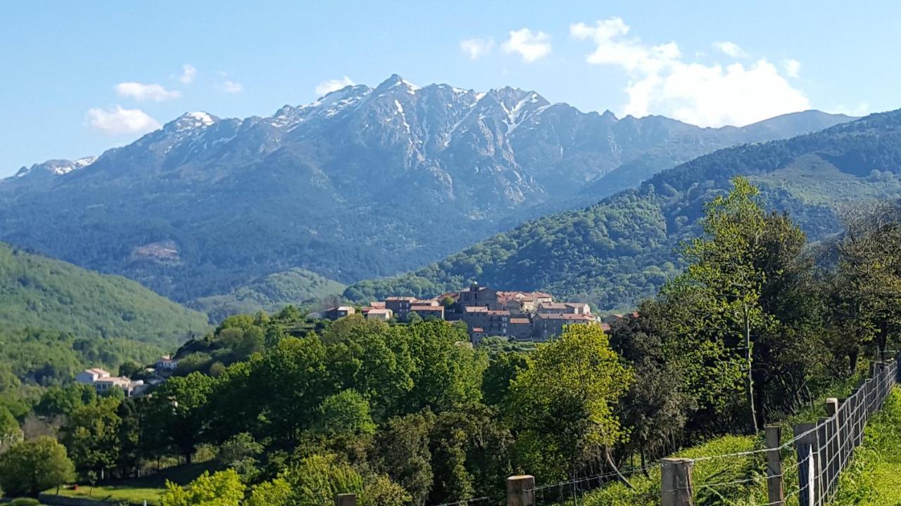 Les Chalets Et Gite Du Haut Taravo Zicavo Kültér fotó