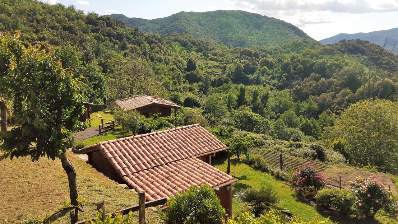Les Chalets Et Gite Du Haut Taravo Zicavo Kültér fotó