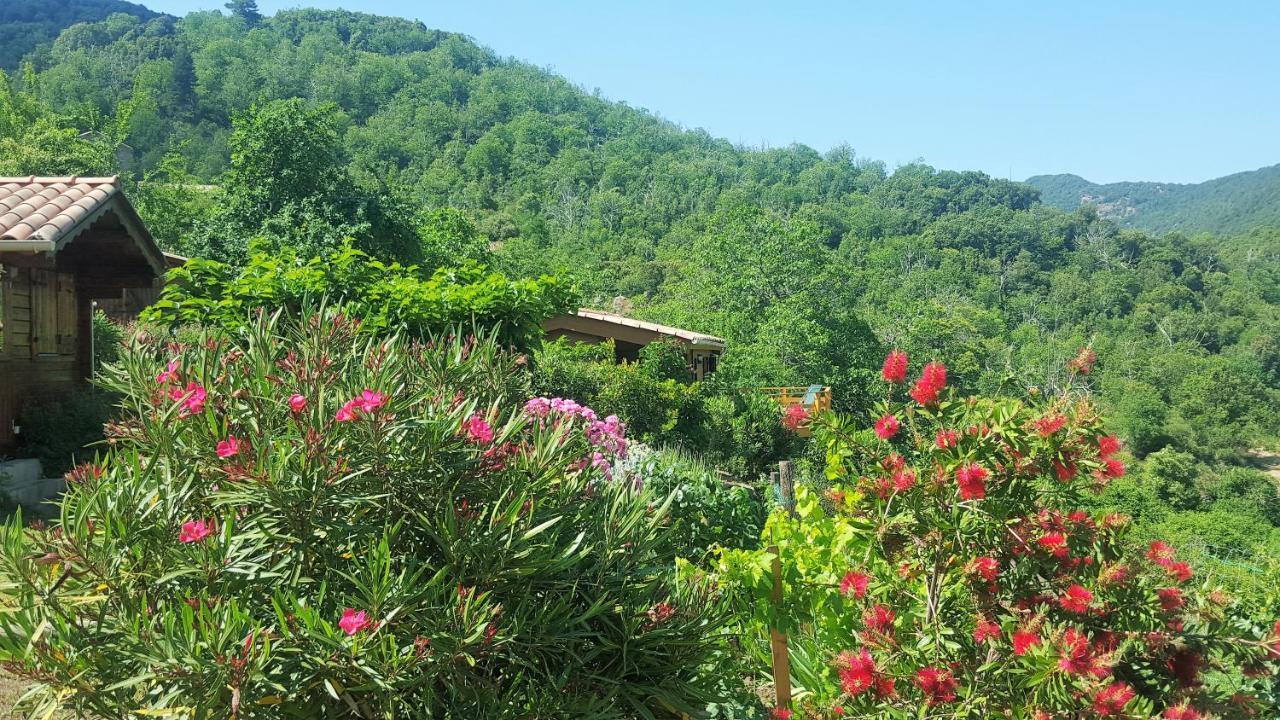 Les Chalets Et Gite Du Haut Taravo Zicavo Kültér fotó