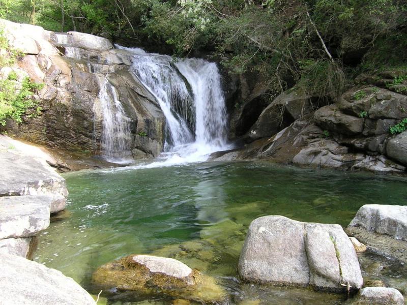 Les Chalets Et Gite Du Haut Taravo Zicavo Kültér fotó