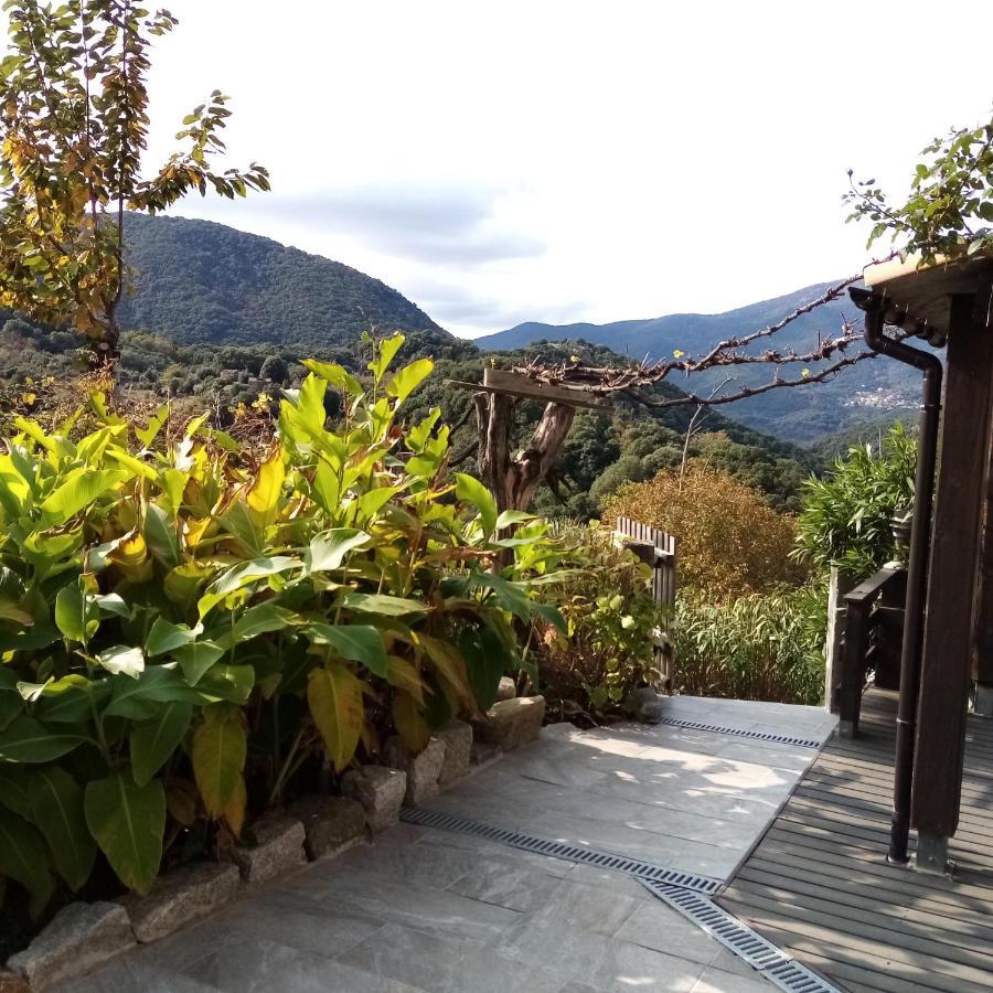 Les Chalets Et Gite Du Haut Taravo Zicavo Kültér fotó