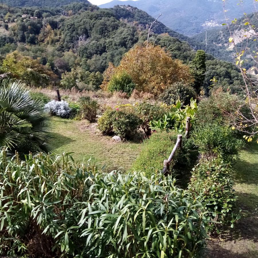Les Chalets Et Gite Du Haut Taravo Zicavo Kültér fotó