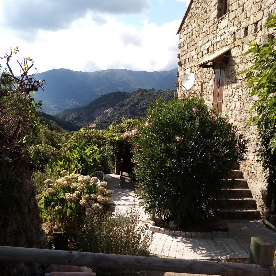 Les Chalets Et Gite Du Haut Taravo Zicavo Kültér fotó